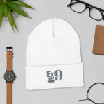 Ex9  Beanie